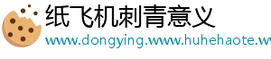 纸飞机刺青意义
